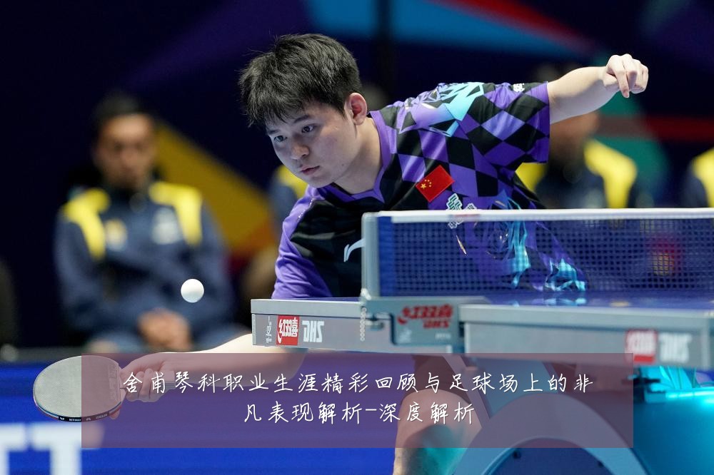 舍甫琴科职业生涯精彩回顾与足球场上的非凡表现解析-深度解析