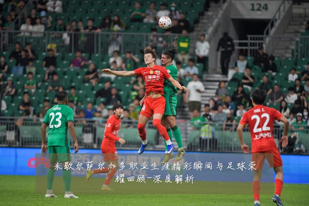 米歇尔萨尔加多职业生涯精彩瞬间与足球荣耀回顾-深度解析